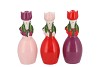 LUCY DUTCH PINK/RED/PURPLE MIX VASE TULIP WOMAN ASS 9X8X22NM