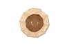 LIMA BEIGE VASE CARVE 27X27X23CM NM