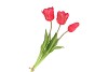 SILK TULIP BOUQUET DARK PINK 26X47CM NM