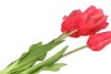 SILK TULIP BOUQUET DARK PINK 26X47CM NM