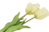 SILK TULIP BOUQUET WHITE 26X47CM NM