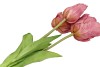 SILK TULIP BOUQUET PURPLE 26X47CM NM