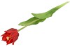 SILK TULIP SINGLE RED 48CM NM