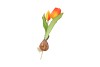 SILK TULIP BULB DARK ORANGE 25CM NM