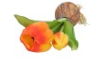 SILK TULIP BULB DARK ORANGE 25CM NM