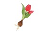 SILK TULIP BULB DARK PINK 25CM NM