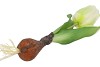 SILK TULIP BULB WHITE 25CM NM