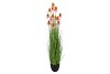 SILK COSMOS GRASS PINK 150CM NM
