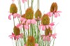 SILK COSMOS GRASS PINK 150CM NM