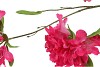 SILK AZALEA PINK 110CM NM