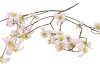 SILK BUTTERCUPS LIGHT PINK 100CM NM