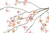 SILK BUTTERCUPS PINK 100CM NM