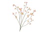 SILK BUTTERCUPS PEACH 100CM NM