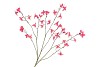 SILK BUTTERCUPS RED 100CM NM