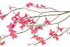 SILK BUTTERCUPS RED 100CM NM