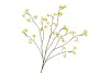 SILK BUTTERCUPS YELLOW 100CM NM