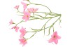 SILK LUCKY CLOVER PINK 99CM NM