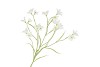 SILK LUCKY CLOVER WHITE 99CM NM