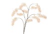 SILK WISTERIA CHAMPAGNE 130CM NM