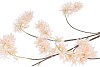 SILK WISTERIA CHAMPAGNE 130CM NM