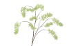 SILK WISTERIA GREEN 130CM NM