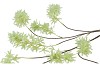 SILK WISTERIA GREEN 130CM NM