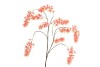 SILK WISTERIA PEACH 130CM NM