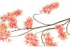 SILK WISTERIA PEACH 130CM NM