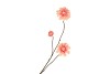 SILK DAHLIA BRANCH CHAMPAGNE PINK 80CM NM