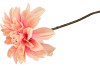 SILK DAHLIA BRANCH CHAMPAGNE PINK 80CM NM