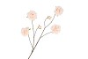 SILK ROSES WILD PEACH 126CM NM