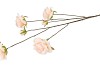 SILK ROSES WILD PEACH 126CM NM
