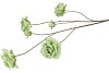 SILK ROSES WILD GREEN 126CM NM