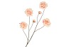 SILK ROSES WILD ORANGE 126CM NM