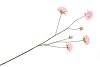 SILK ROSES WILD DARK PINK 126CM NM