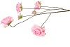 SILK ROSES WILD DARK PINK 126CM NM