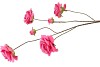 SILK ROSES WILD FUCHSIA 126CM NM