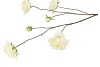 SILK ROSES WILD WHITE 126CM NM
