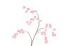 SILK BELLFLOWER PINK 88CM