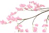 SILK BELLFLOWER PINK 130CM NM