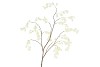 SILK BELLFLOWER WHITE 130CM