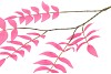 SILK SALIX LEAF SMALL BEAUTY 90CM