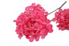 SILK HYDRANGEA X3 RED 85CM