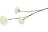 SILK HYDRANGEA X3 WHITE 85CM