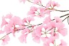 SILK GINKGO PINK 130CM