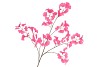 SILK GINKGO BEAUTY 130CM