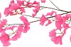SILK GINKGO BEAUTY 130CM