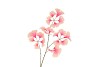 SILK GINKGO PINK/CHAMPAGNE 85CM NM