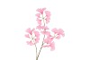 SILK GINKGO PINK 85CM NM