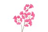 SILK GINKGO BEAUTY 85CM NM